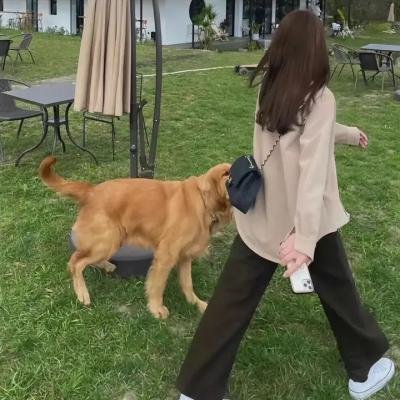 科技虫生